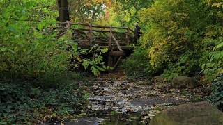 #MondayMeditation: Autumn at the Bridge