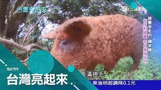 妻子罹癌讓他陷入低潮 打造\