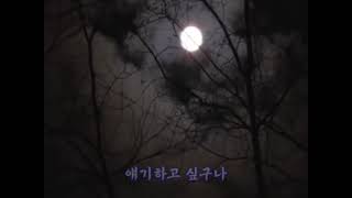 달밤(김태오 시. 나운영 곡) – 선명회어린이합창단 (가사 포함)