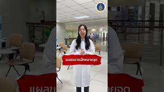 ชุดสื่อ “ร้อนใน ไม่ต้องร้อนใจ”ตอนที่ 3: แผลร้อนในต้องไปหาหมอเมื่อไหร่นะ?  โดย ภาควิชาทันตกรรมชุมชน