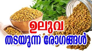 ഉലുവ തടയുന്ന രോഗങ്ങൾ | ULUVA THADAYUNNA ROGANGAL | MALAYALAM TASTY | TASTY WORLD