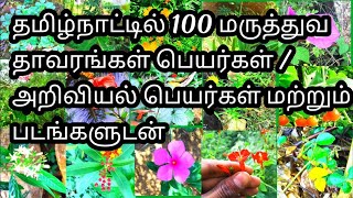 தமிழ்நாட்டில்100தாவரவியல் பெயர்கள்|| அறிவியல் பெயர்கள் || #தமிழ் #தமிழ்நாடு #தாவரங்கள்#தமிழ்விளக்கம்