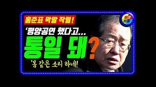 홍준표 대표의 막말 퍼레이드 또 시작됐다! 평양공연 한것 가지고 통일이 돼?