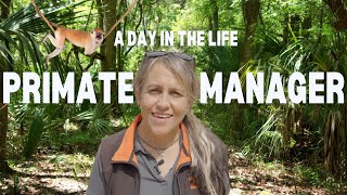 🌿 A Day in the Life of a Primate Manager at Sydney Zoo! 🐒✨