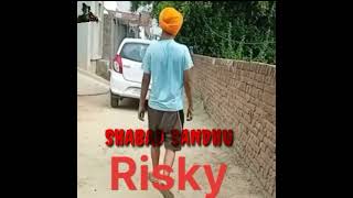 Risky (Official Audio) Shabad Sandhu | Wish Premiere...