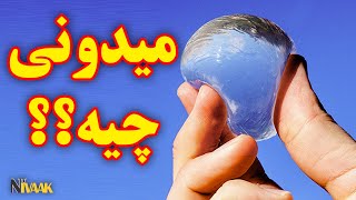 خلاقانه ترین ساخته های بشر #shorts