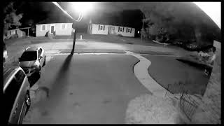 Coyote attacks cat in driveway of Old Jefferson home