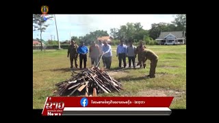 ຂ່າວ ປກສ Lao PSTV News: ກອງບັນຊາການ ປກສ ເມືອງໂພນທອງ ແຂວງຈຳປາສັກ ຈູດທໍາລາຍອາວຸດລ່າເນື້ອ