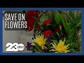 Save On Valentine's Day Flowers | DON'T WASTE YOUR MONEY