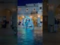 souq waqif qatar qatar souqwaqif canada india instagram shorts ytshorts youtubeshorts