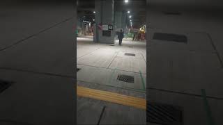 甲辰農曆18号蓮塘口岸香港車站人流