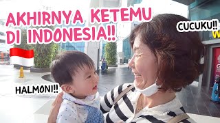 Tiba Tiba Mertua Korea Datang Ke Indonesia!😍🇮🇩