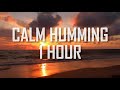 Calm Humming Islamic Nasheed 1 HOUR!