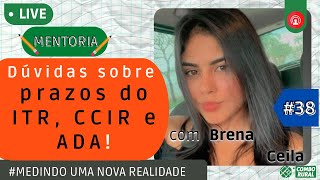 Como declarar ITR? E como saber se já foi declarado?