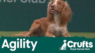Agility - Championship Small/Medium (Jumping) Part 1 | Crufts 2026