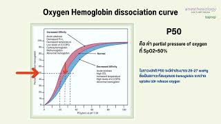 อธิบายกราฟ Oxygen dissociation curve เป็นภาษาไทย เพื่อความเข้าใจง่าย