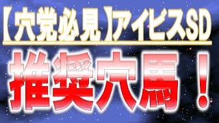 【アイビスSD part2】推奨穴馬！万馬券演出可能な、超人気薄の「あの馬」！根拠と共に一挙公開！