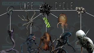 All 10 Different Life Cycles of the Alien Xenomorphs