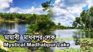 মায়াবী মাধবপুর লেক । Mystical Madhabpur Lake। 2022। ***ন্যাশনাল টি এস্টেট ও মাধবপুর লেক***