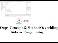 Inheritance and Method Overriding in Java Programming