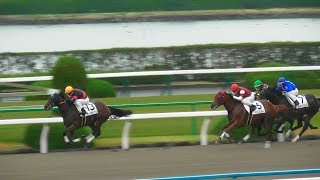 デムーロ兄弟のワンツー。オールポッシブル、１０００万下勝利。現地映像、京都競馬場