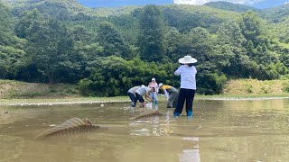 老乡家山塘干水后荒废着，村民下去捡漏，发现动静好大，哇哇大叫