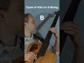 Chromatic Scale Through the Cycle of 4ths for Bass on E-String #jazz #bass