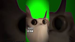 主や視聴者が好きな猫ミームランキング#猫ミーム#猫meme #猫マニ #猫#ランキング#バズりたい #ショート #かわいい #テンプレート #ばずれ