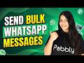 Bulk WhatsApp Messaging Tutorial for Beginners