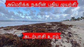 BEST COMPOST FOR FRUIT AND VEGETABLE GARDEN | அமெரிக்க நகரத்தில் ஒரு புதிய முயற்சி - கடற்பாசி உரம்