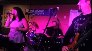 StereoVision - Pancreatic cancer benefit 2014 video clips