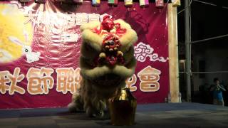 梅窩大地塘中秋晚會2010 醒獅表演1