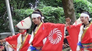 【#43】彩夏祭2017 《かつみ獅子蓮花》2017/08/05 (公園通り北演舞場) よさこいフェスタ