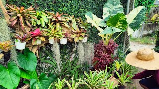 MAS PINAGANDA DRIFTWOOD LANDSCAPING 🌿😮