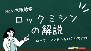 pecos犬服教室🐶ロックミシンの解説