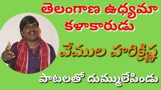 తెలంగాణ ఉధ్యమా కళాకారుడు వేముల హరిక్రిష్ణ పాటలతో దుమ్ములేపిండి