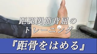 『距骨をはめる』トレーニング