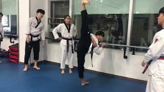 품새훈련일지[Poomsae Training]