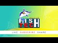 എളുപ്പത്തിൽ ചൂണ്ട കെട്ടുന്ന രീതി easy baiting method mallu fish tech