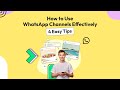 How to Use WhatsApp Channels Effectively: 4 Easy Tips | Wati