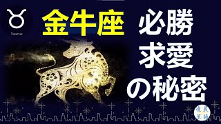 我用耐心等待，最終贏得金牛女的芳心【凌晨星語】求愛攻略