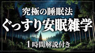 【睡眠導入 作業用】ぐっすりおやすみ安眠用雑学 寝ながら賢くなる日常生活100の雑学1時間 ストレス緩和【BGMなし】【男性朗読】