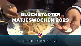 Glückstädter Matjeswochen 2023 gestartet