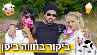 ביקור בחווה ביפן