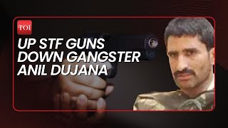 Gangster Anil Dujana Encounter: Who was Dujana and why was he encountered by the Uttar Pradesh STF