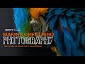 Sony Presents - Making Great Bird Photography with Matt Kloskowski