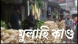 Biggest Radish in Bangladesh | Maizbhandar Darbar | দেশের সবচেয়ে বড় মুলা | মাইজভাণ্ডার দরবার।