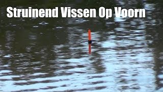 Struinend Vissen Op Voorn