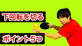 誰でも切れる下回転サーブ✨WRM ぐっちぃさんコラボ【卓球】