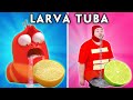 Larva Parodi | Semangka | Parodi larva tanpa anggaran | Woa Parody Indonesia